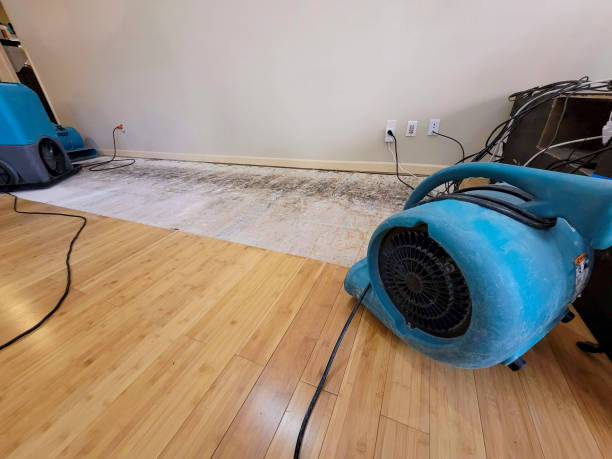 Professional Flood Damage Cleanup technician working in Thorn Hill, TN